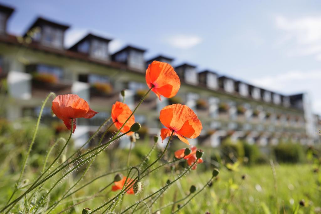 allgäu resort Bad Grönenbach Exteriör bild